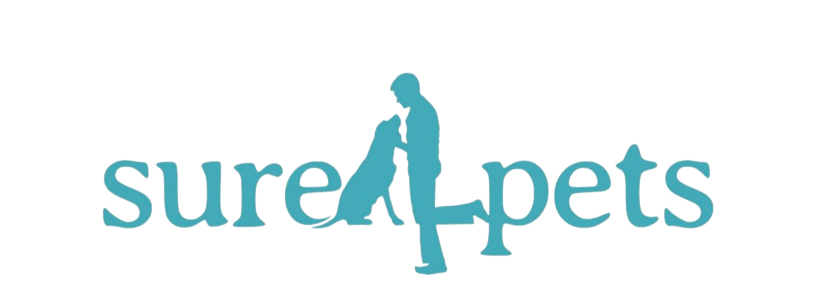 Company
