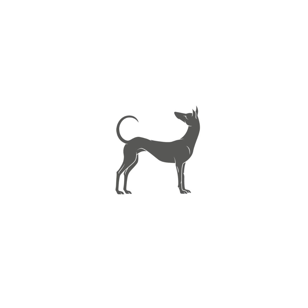 Company