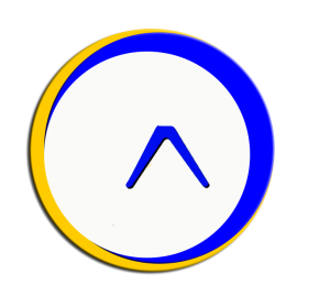 Company
