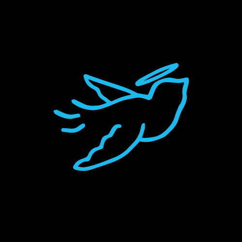 Company